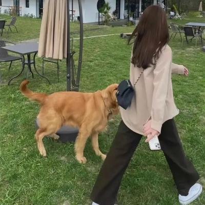 偷渡者 海报
