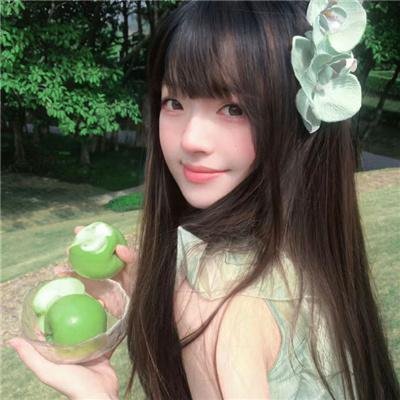 花见 海报
