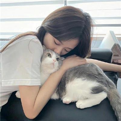 王朝的陷落 海报